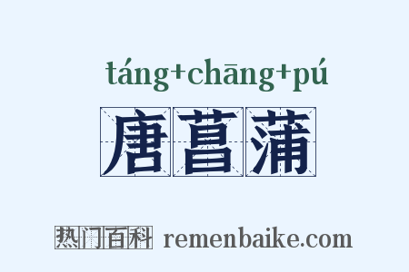 唐菖蒲是什么意思的图片
